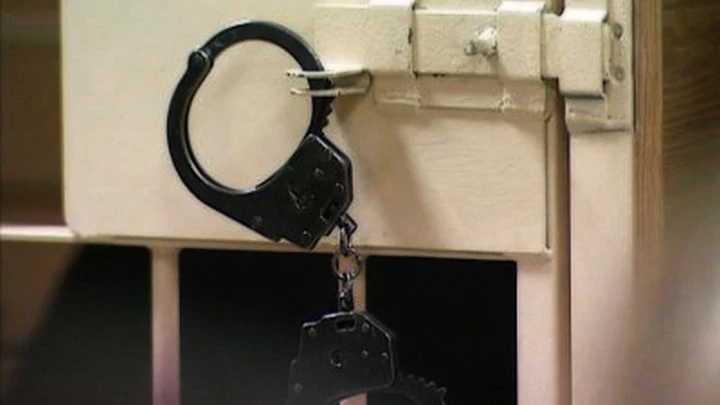 Совфед одобрил закон о пожизненном заключении за вербовку террористов - tvspb.ru