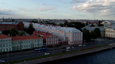 Нейробиологи из СПбГУ научились восстанавливать клетки спинного мозга внутри живого организма