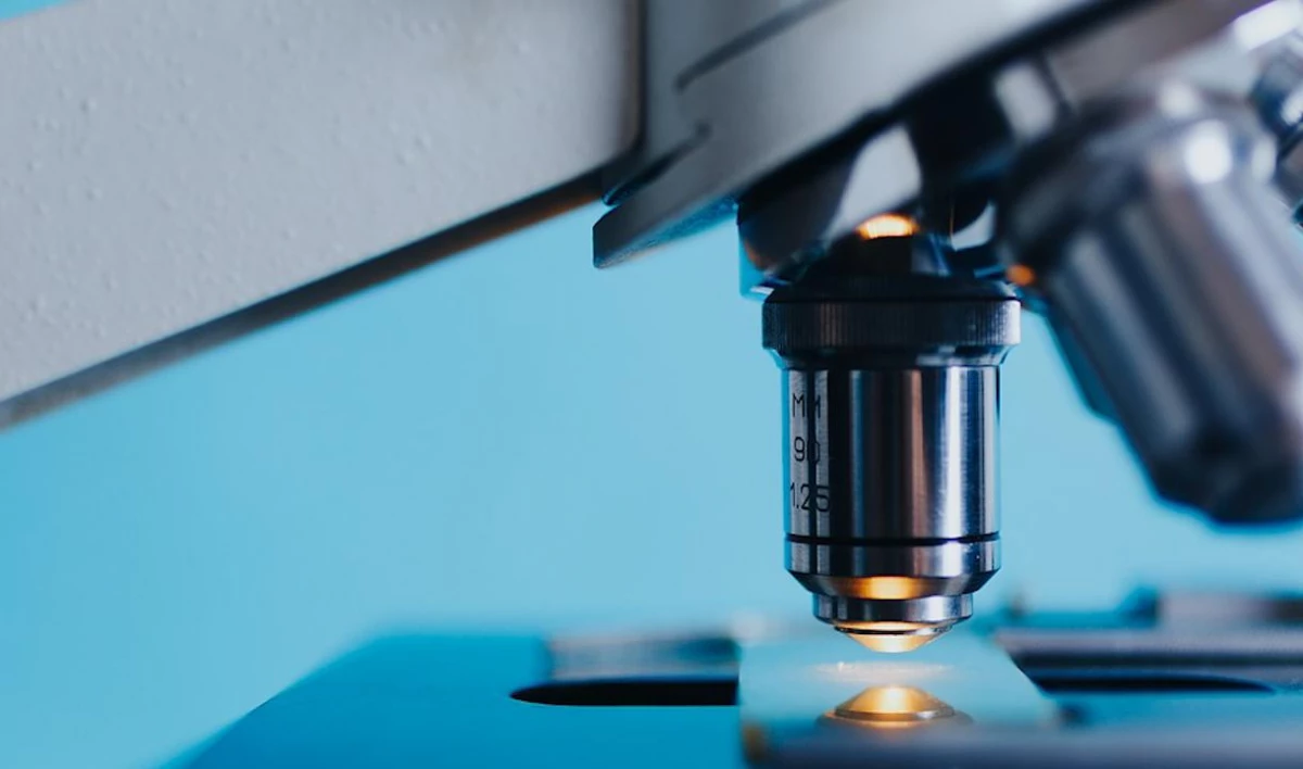 В Петербурге изменили систему грантов в сфере науки и научно-технических разработок - tvspb.ru