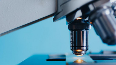 В Петербурге изменили систему грантов в сфере науки и научно-технических разработок