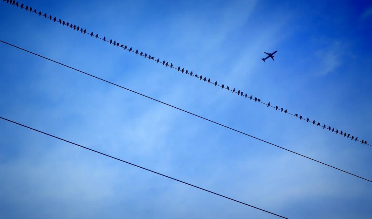 На шаг ближе к чистому небу: петербургские операторы связи готовятся перенести провода под землю - tvspb.ru