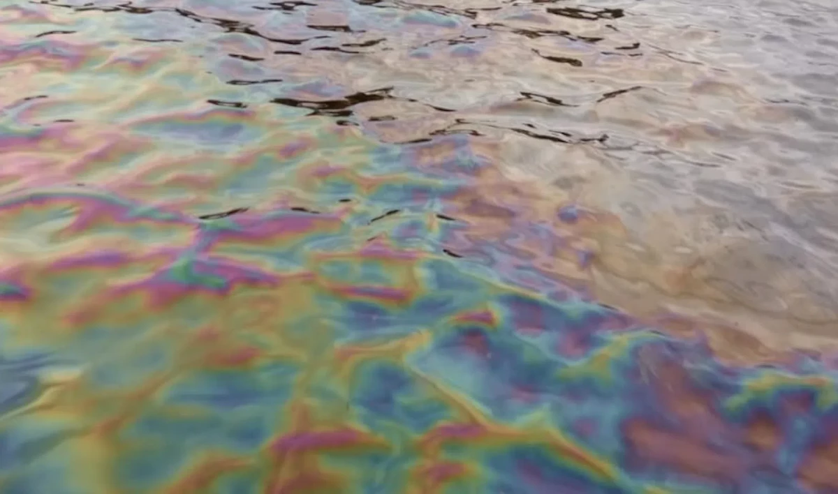 Экологи ликвидировали нефтяное пятно в районе Галерного фарватера - tvspb.ru