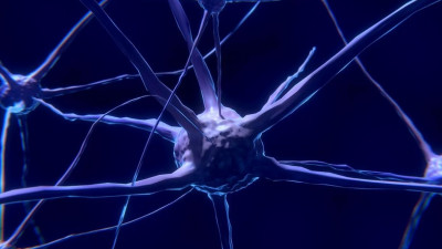 Ученые обнаружили новый тип шизофрении