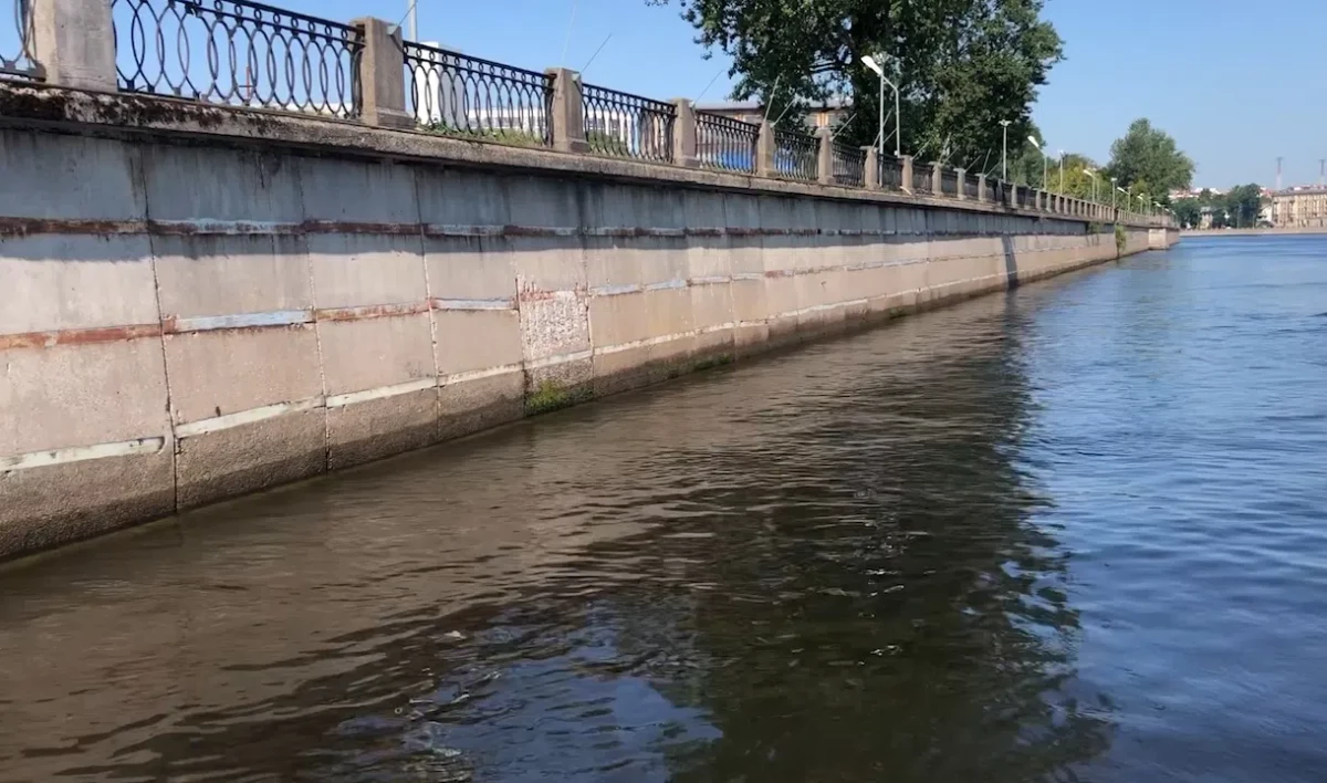 В аномальную жару водные объекты Петербурга столкнулись с рядом угроз - tvspb.ru