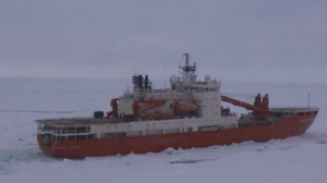 Первый этап экспедиции «ТрансАрктика-2019» завершится через две недели