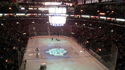 НХЛ приостановила чемпионат из-за коронавируса