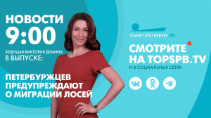 Новости. 9:00
