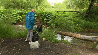 Петербуржцы привели в порядок берег реки Дудергофки