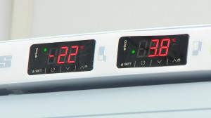 Более 49 тысяч петербуржцев сделали прививку от коронавируса с начала массовой вакцинации