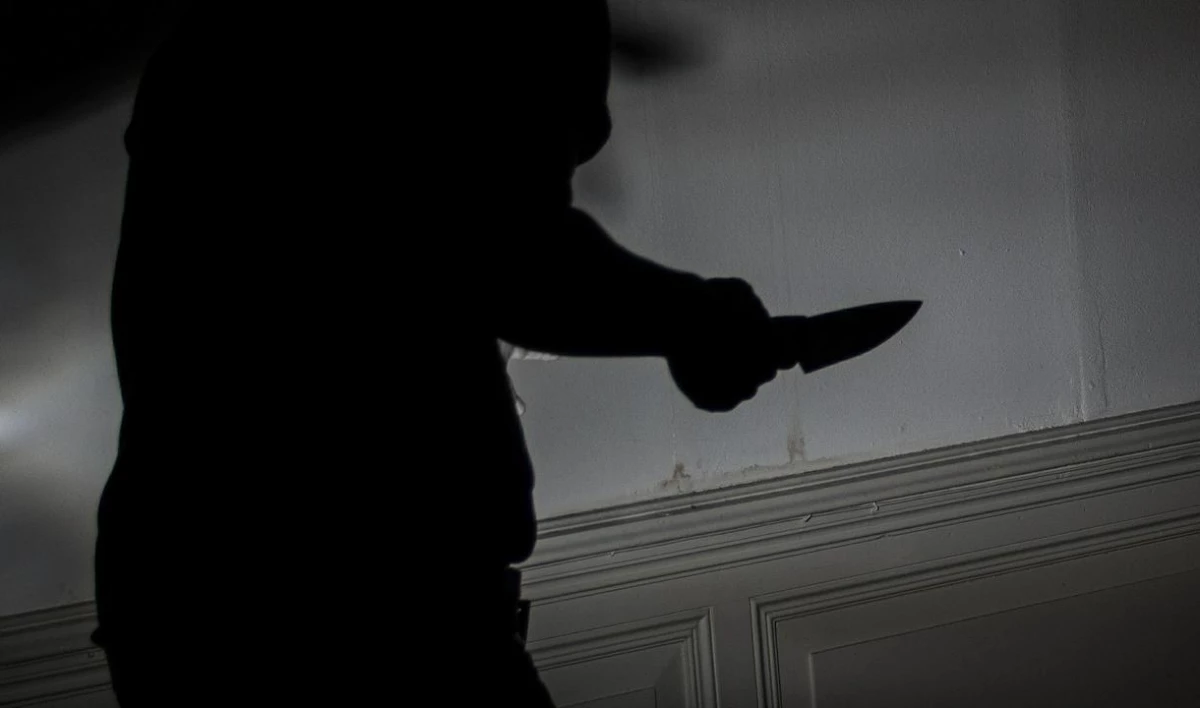 В коммуналке на Нейшлотском переулке гость ударил хозяина комнаты ножом в грудь - tvspb.ru