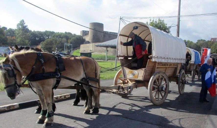 Инспекторы Россельхознадзора проверили лошадей, прибывших своим ходом из Германии в Россию - tvspb.ru