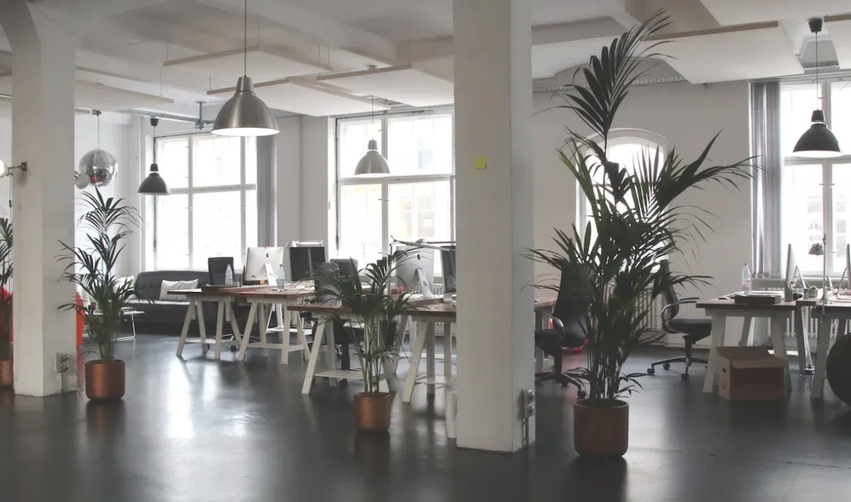 Петербуржцам объяснили порядок отстранения от работы за отказ от вакцинации - tvspb.ru