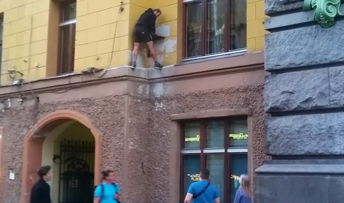 В Петербурге вновь «ограбили» кота Елисея - tvspb.ru