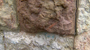 На Комендантском проспекте нашли окаменелости