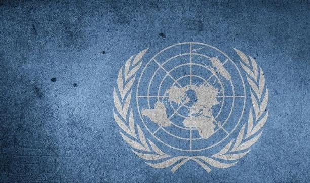 Совбез ООН проведет консультации по ситуации в Сирии - tvspb.ru