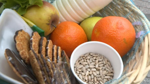 Что весной требует организм петербуржцев: витамины или белки и углеводы?