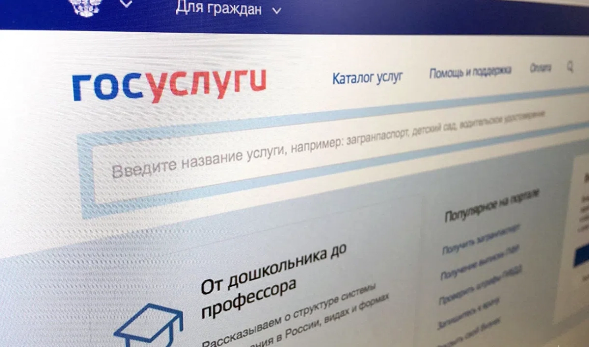 Сайт «Госуслуг» отразил рекордную по мощности атаку - tvspb.ru