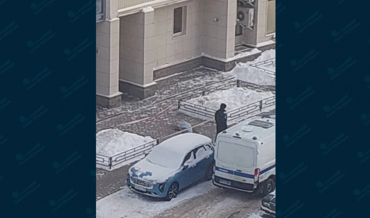На Туристской улице молодой человек выпал из окна - tvspb.ru