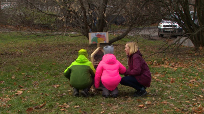 «Вместе с детьми отвлеклись от гаджетов»: Петербуржцы создали отель для насекомых