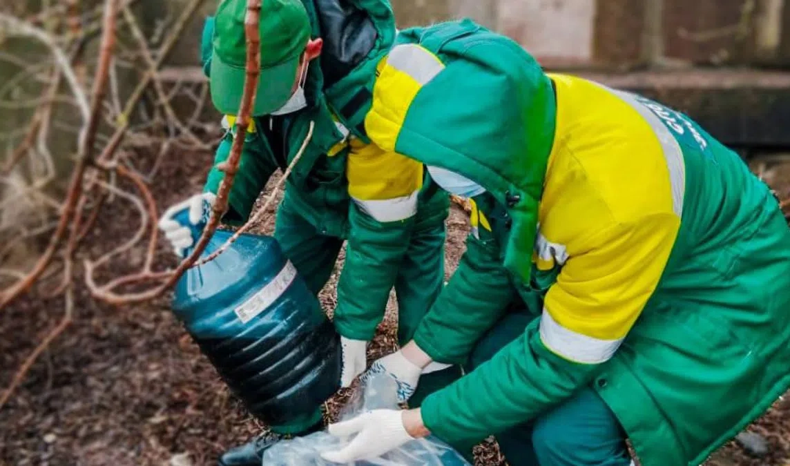 В Петербурге экологи за неделю собрали 700 кг опасных отходов - tvspb.ru