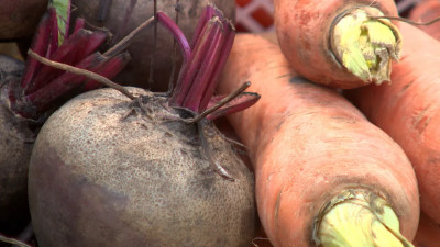 Парламентарии «Единой России» представили конкретные решения по стабилизации стоимости борщевого набора