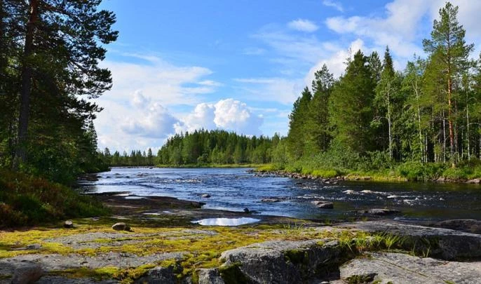 Петербургские геологи продолжат искать золото на территории Карелии - tvspb.ru