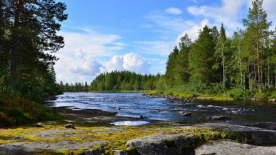 Петербургские геологи продолжат искать золото на территории Карелии
