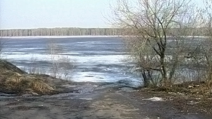 В озере в районе Токсово утонули трое детей