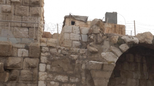 Петербургские ученые договорились с коллегами из Сирии продолжить работу по сохранению культурного наследия Пальмиры