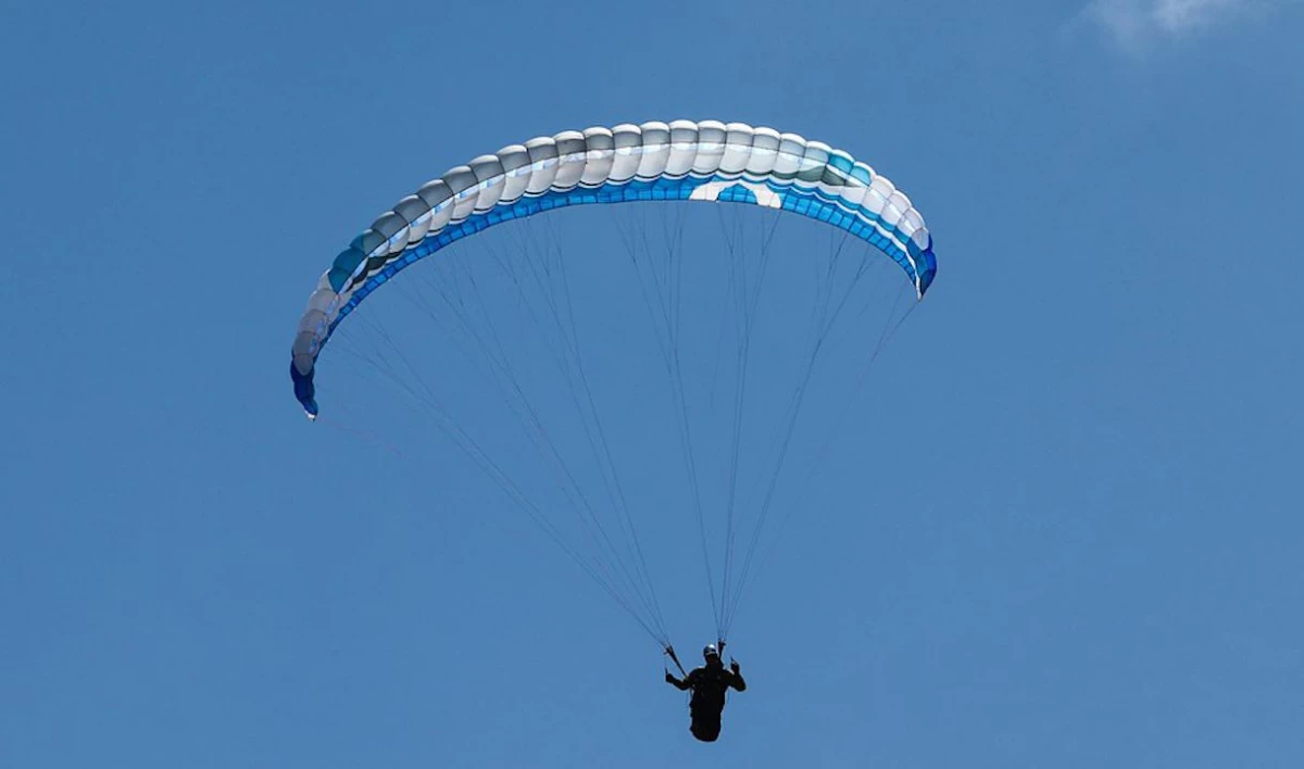 Парапланеристка впала в кому после прыжка в Ленобласти - tvspb.ru