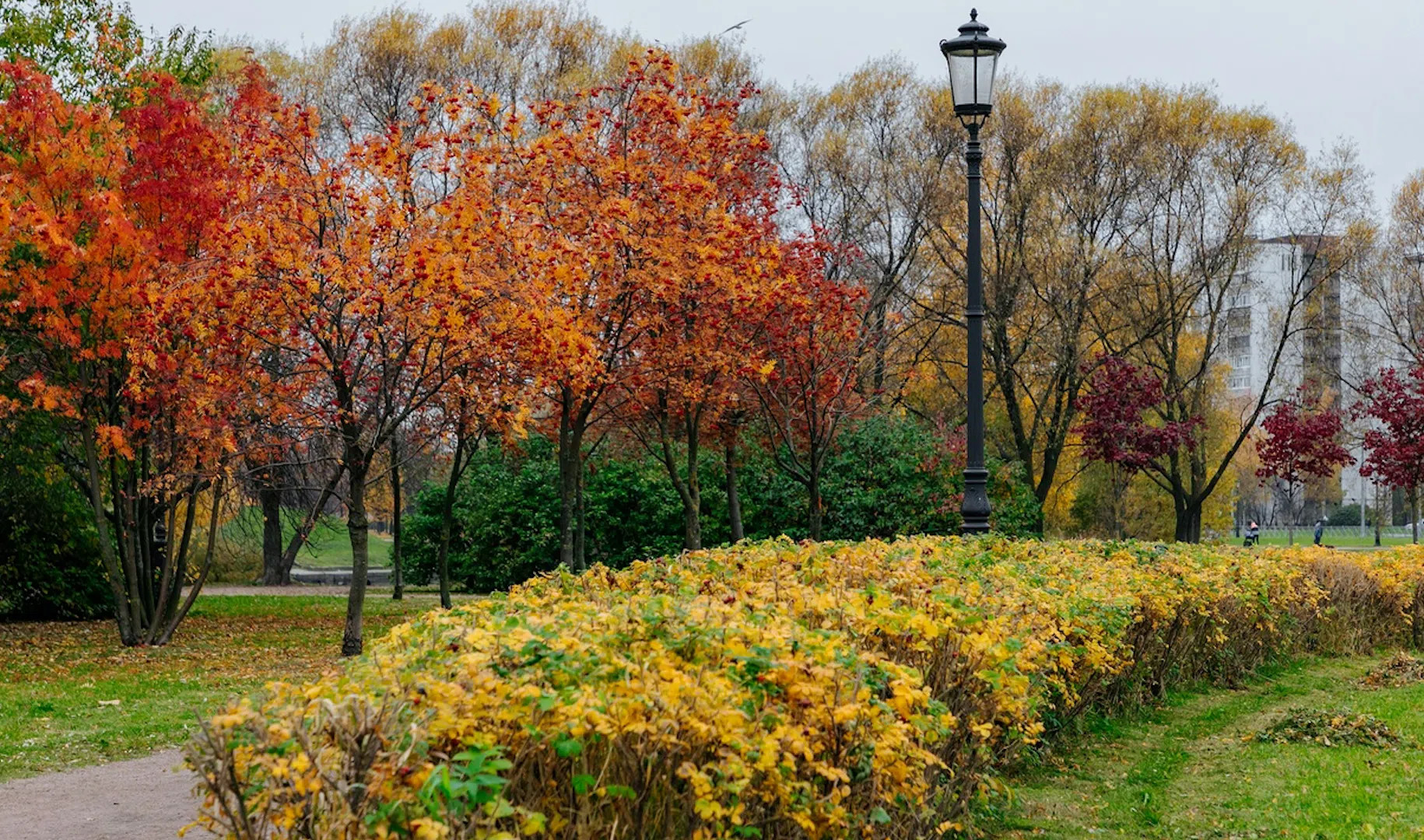 Петербург парки закрыты. Парки СПБ. Троицкий сад Колпино. Румянцевский сад Санкт-Петербург. Сады и скверы СПБ.