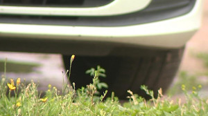 Платная парковка на улице Жуковского