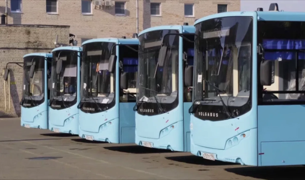 Новые автобусы пустят из Красного Села - tvspb.ru