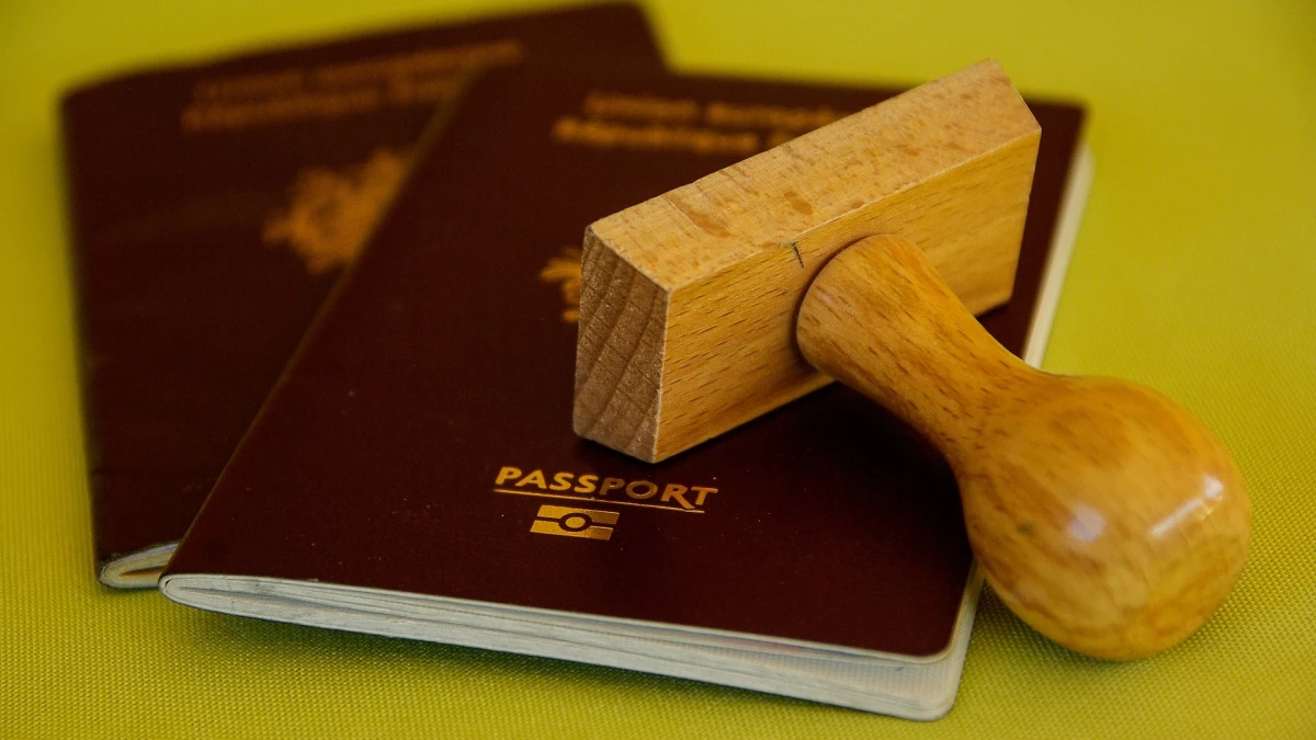 Посольство США ужесточило выдачу виз россиянам после указа Трампа о миграционной политике - tvspb.ru