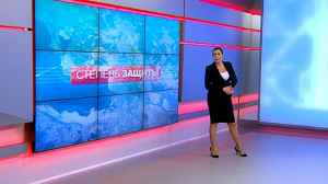 Степень защиты, 11 февраля