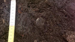 Археологи обнаружили свинцовую печать новгородского периода