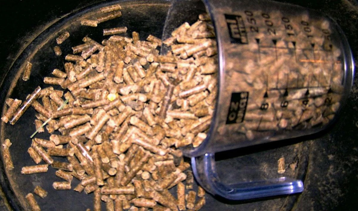 Лужский комбикормовый завод банкротят за долги - tvspb.ru