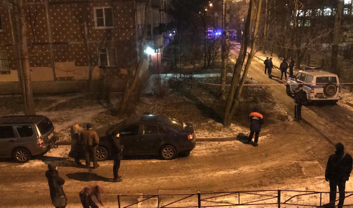 Полицейские нашли три гранаты в доме на улице Карпинского - tvspb.ru