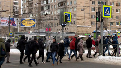 Петербургским водителям и пешеходам напомнили о правилах безопасности на дорогах