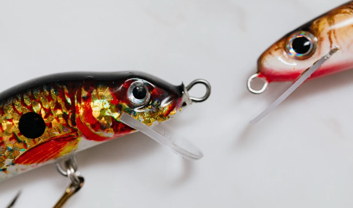 Карп, сазан и щука: Эксперты назвали лучшие для рыбалки дни в июне - tvspb.ru