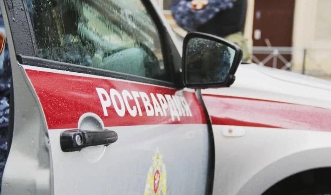 В Кингисеппе задержали мужчину, угрожавшего прохожим предметом, похожим на гранату - tvspb.ru