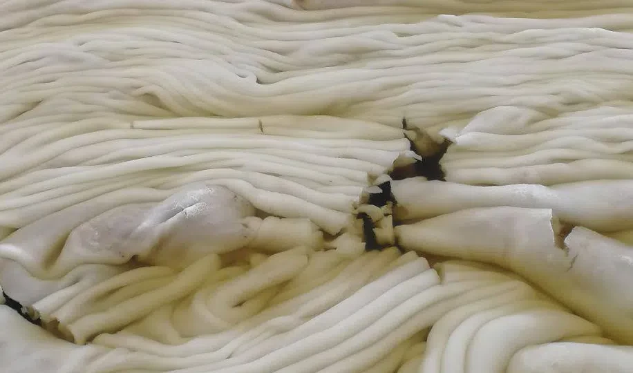 На реках Петербурга появилась снежура - tvspb.ru