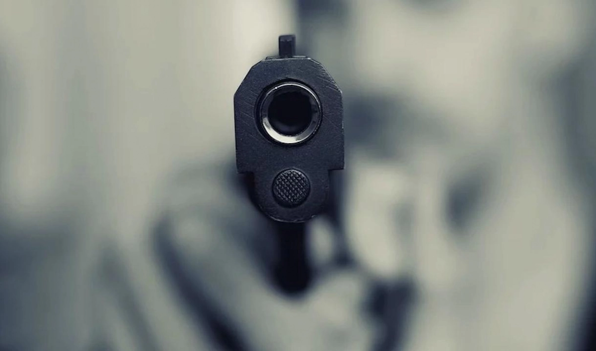 В Киришах пьяный мужчина открыл стрельбу по живым мишеням - tvspb.ru