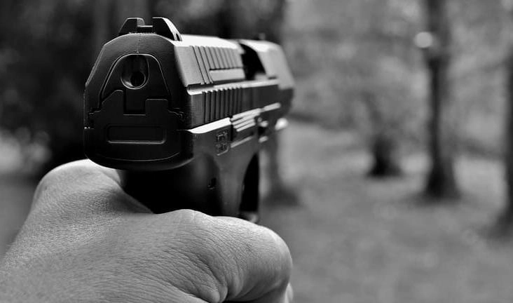 Против мужчины, который устроил стрельбу по женщине в Колпино, возбудили уголовное дело - tvspb.ru