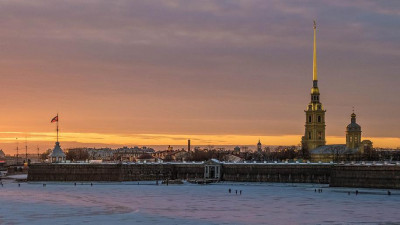 Иностранцам планируют разрешить визиты в Петербург по электронной визе