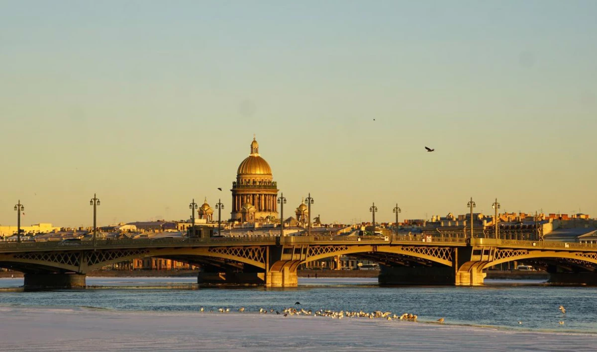 Александр Беглов: Фирмам с сомнительной налоговой историей надо закрыть регистрацию в Петербурге - tvspb.ru