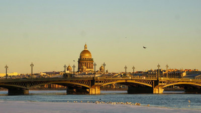 Александр Беглов: Фирмам с сомнительной налоговой историей надо закрыть регистрацию в Петербурге