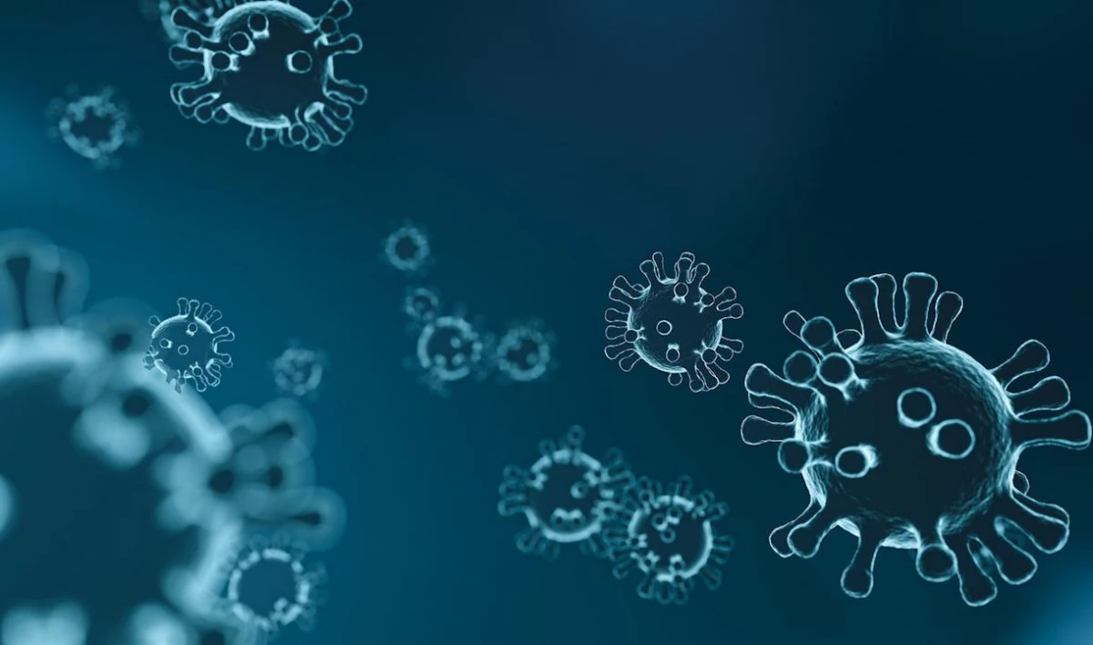 Вероятность третьей волны COVID-19 в Петербурге остается высокой - tvspb.ru