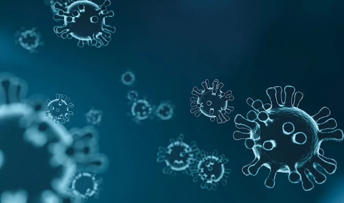 Гинцбург заявил, что антитела после «омикрона» не защищают от «дельты» - tvspb.ru