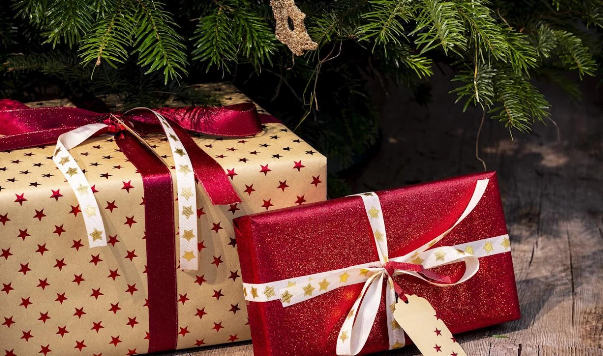 Эксперты выяснили, какие новогодние подарки чаще всего заказывают в интернете - tvspb.ru